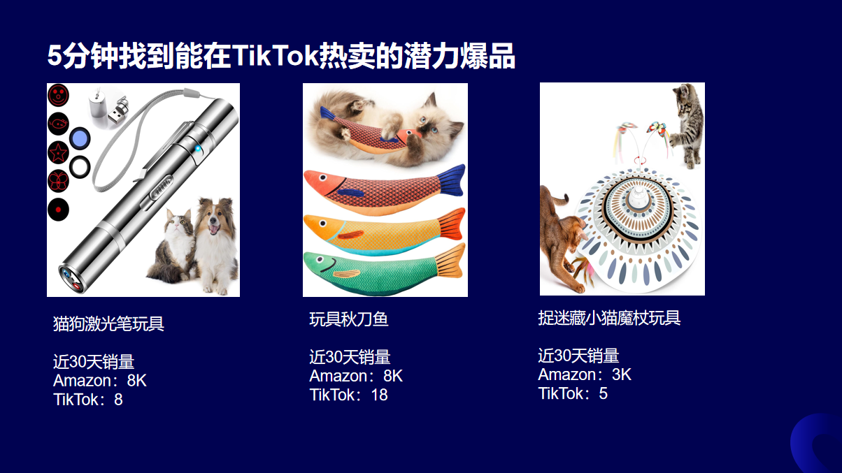 如何通过市场调研确定TikTok上具有潜力的小众选品?