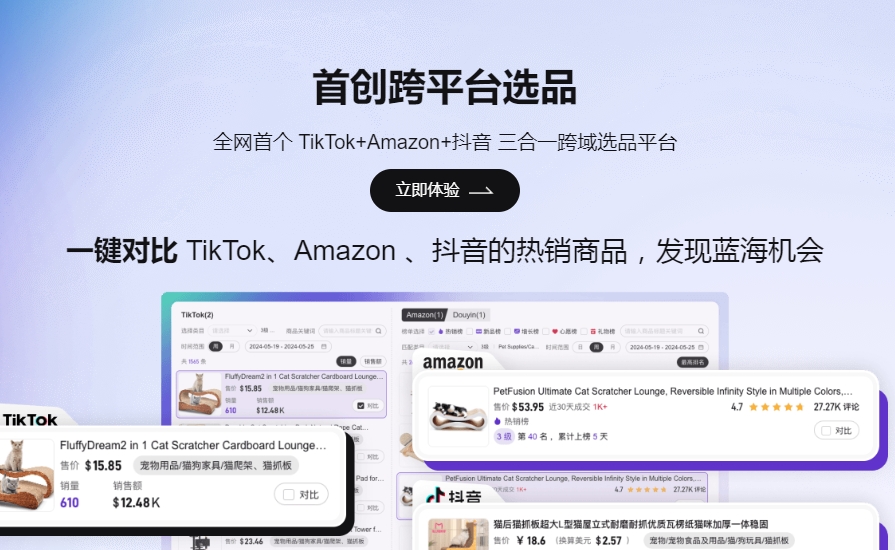 跨境电商独立站TikTok、Facebook、ins的IP环境构建